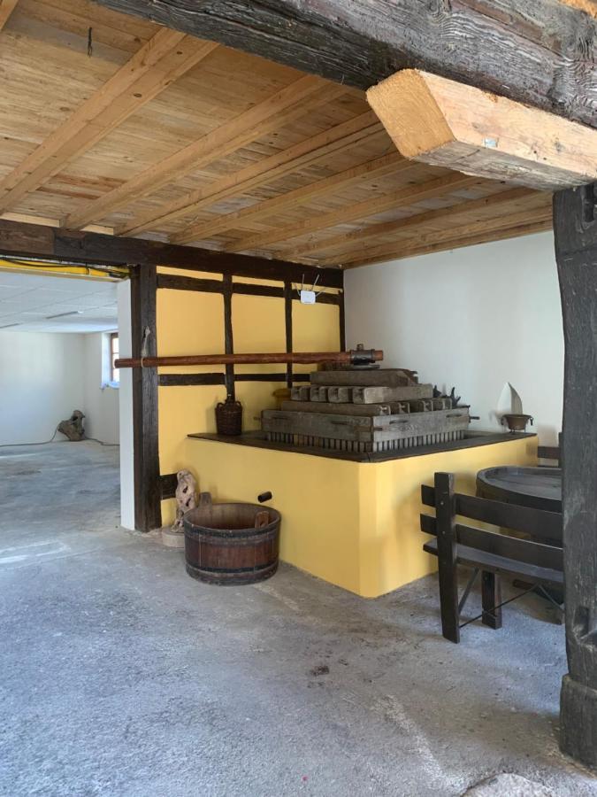 Vila Le Loft Wintzenheim Exteriér fotografie